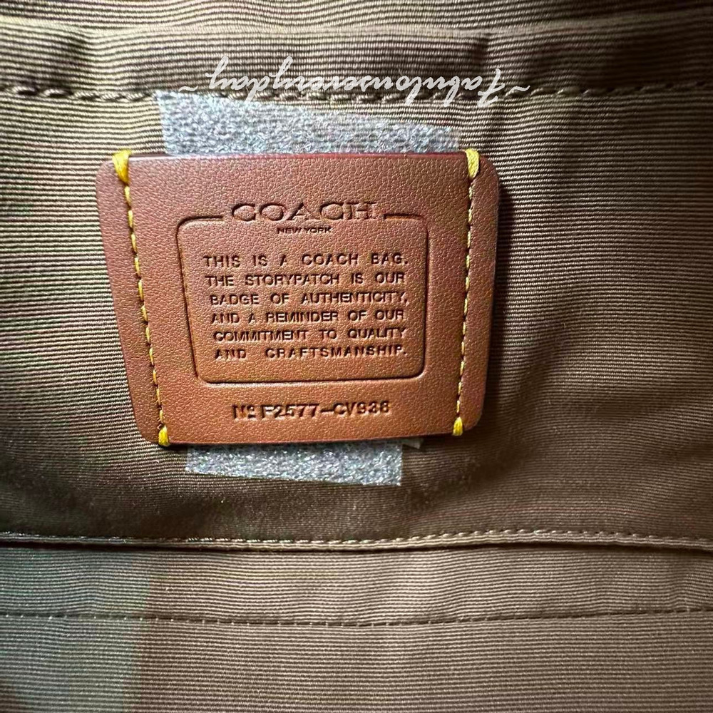 Coach Teri Shoulder Bag Crossbody In Leather Silver/Clay CV938 NWT - Picture 11 of 11